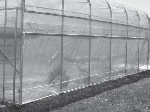 CLEARSPAN MAJESTIC GREENHOUSES With the side panel rolled to its highest position, move to the other end of the frame and pull the anti-billow rope tight to remove excess slack.