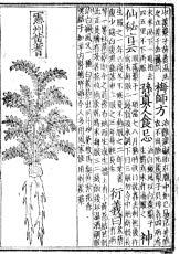 The Origin of Printing Block printing was rapidly developing within the Chinese culture for many different purpose.