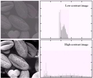 Histogram Properties of Histogram renders the intensity profile of an image can estimate the contrast information of an image brightness image : Histograms are right shifted contrast is low: