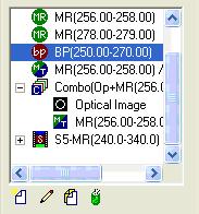1 Overview of ImageQuest Using ImageQuest Views Data Set Tree View The Data Set view always displays information about the current data sets in the upper left corner of the main screen.