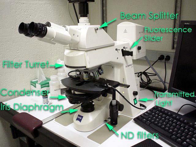 Zeiss Axioskop II The AIF's "routine" light microscope.