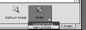 Printing Images 1 Select the image(s) you wish to print in the Browser area.