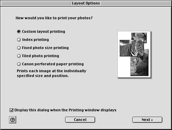 Layout Options dialog box Print window 3 Select 4 In 5 Click 6 Select a layout and click the [Next] button.