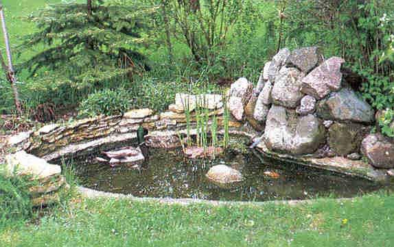 from a dripping source to bird baths to backyard ponds, waterfalls, to natural springs, creeks,