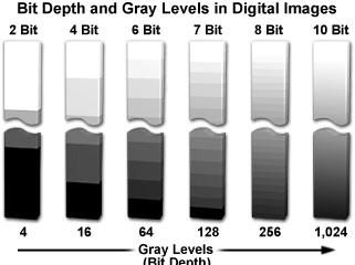 BIT DEPTH In an image with a bit depth of 2, each pixel will have 2 2 (4) gray levels (density).