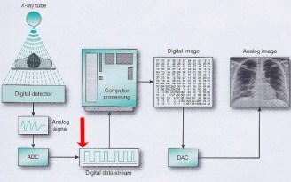 DIGITAL IMAGES The ADC change the continuous analog signal into discrete digital data. To generate a digital image, a computer requires discrete data (0 and 1) for operation.