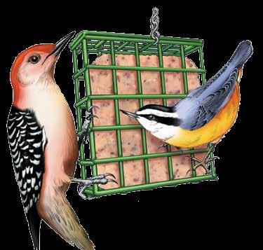 Guaranteed to attract a wide variety of suet-loving birds to your yard.