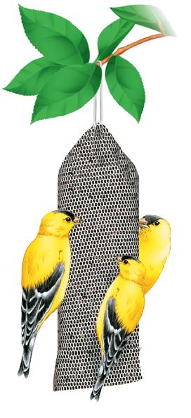 White millet, red milo, black oil sunflower, gelatin Woodpeckers, Finches, Sparrows, Jays 409-171 776947860198