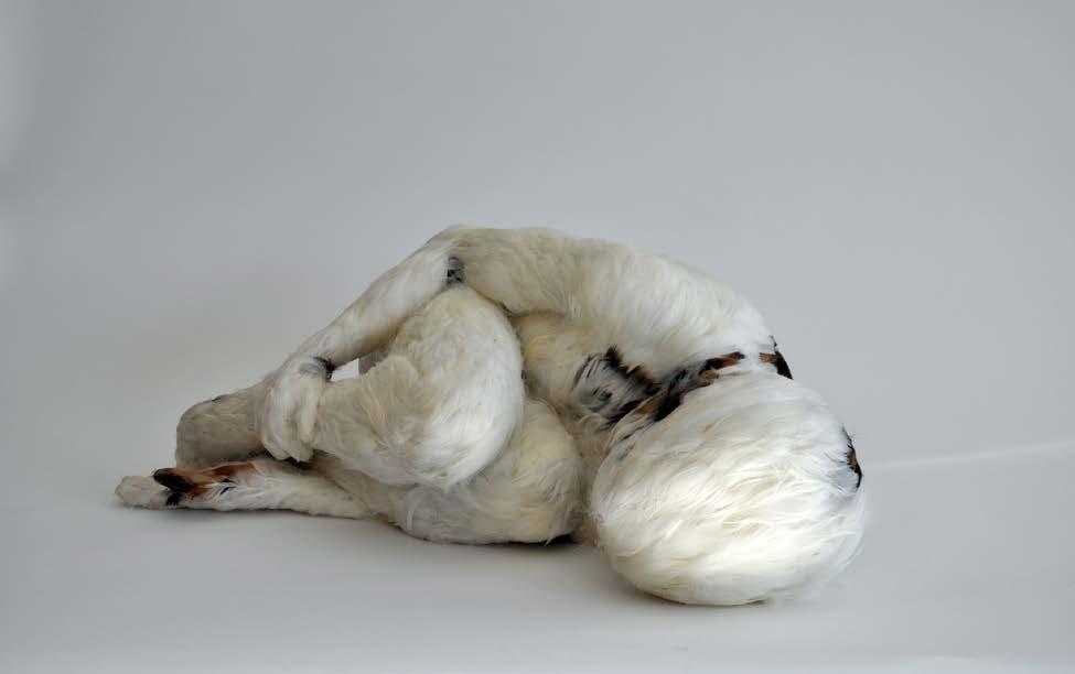 Feather Child 1 by Lucy Glendinning Made from duck and pheasant feathers, wax, jesmonite (resin) and timber What story would you tell about this sculpture? Try the pose.