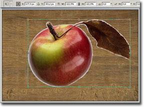 Wood painting 6. Copy the selected apple calling the command Edit Copy or using the key combination Ctrl+C. 7. Switch back to the photo with a wooden surface.