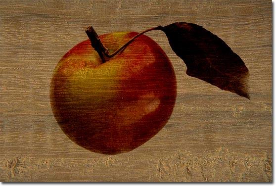 Insert the copied image of the apple on the wooden background calling the command Edit - Paste or using the key combination Ctrl+V. 9. Adjust the size and position of the apple (pic.