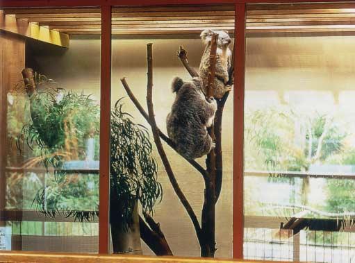 Zoos, exhibitions and museums The center window is AMIRAN and ordinary glass is on the left and