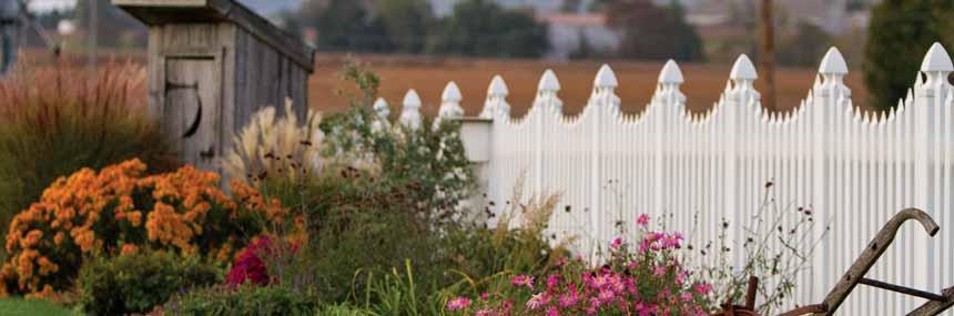 fence, elegant in its