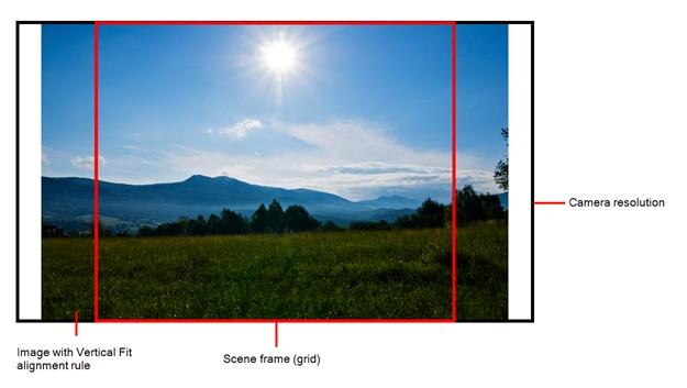 Custom Fov: After selecting this option, use the now-active field to the right to enter in a value, in degrees, of the angle that you want the camera cone to be.