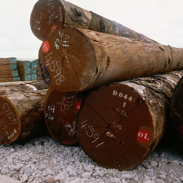 Following many timber acquisitions over the years, a wealth of knowledge remains within the company with over 200 years' combined experience enabling us to supply everything you need.