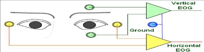 Fig. 1: The Anatomy of the eye [3] II. IMPLEMENTATION In building this whole circuit, number of components was tried and final component selection was based on optimal performance.