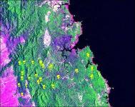 Landsat TM (Thematic Mapper ) Image MSU Channel