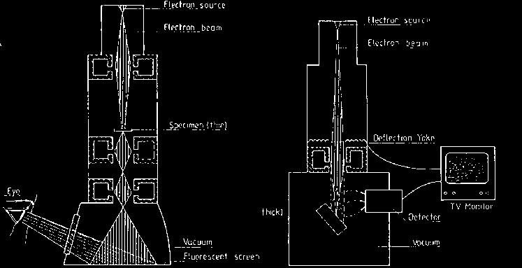 Components of an electron microscope Vacuum system!