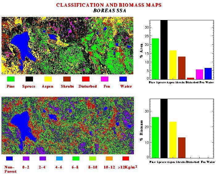 Forest Classification and Biomass Estimation