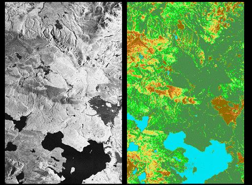Non-burned Forests and Forests at Different Stages of Fire Succession Yellowstone National Park, Wyoming, The image at the left is L band HV image obtained on Oct 2, 1994 by SIR-C/XSAR Mission.