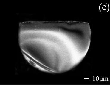 This is the justification for choosing an SSPMS structure with a polishing depth of 40 µm as the experimental sample. a glass slide and cured at room temperature for 24h.
