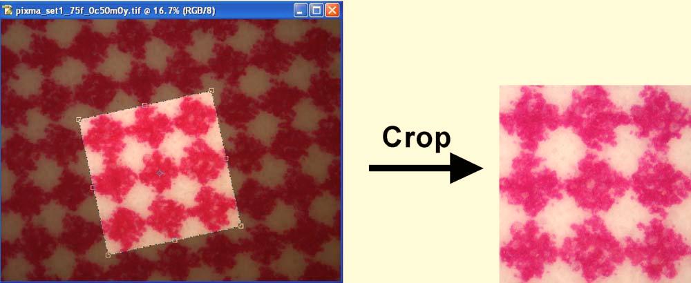 of magenta ink on paper. Figure 1. Spectral prediction model with ink spreading in all superposition conditions. Figure 2. Cropping of a halftone image acquired with a microscope.