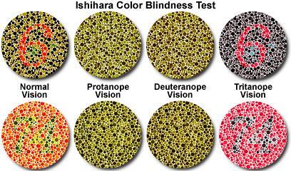 Colour Vision Many people have problems discriminating colours.