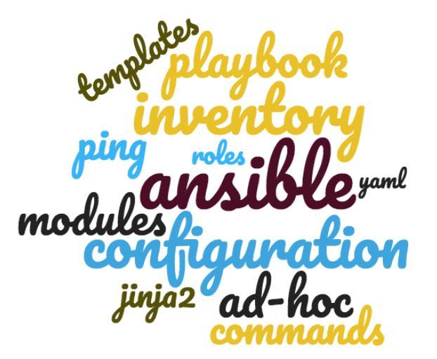 Common Ansible Terms?