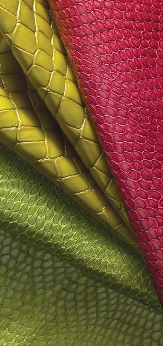 DiModa Collection DiModa is Italian patent leather with a smooth, high gloss appearance and water resistant surface. Soft and pliable, DiModa is suitable for many upholstery applications.