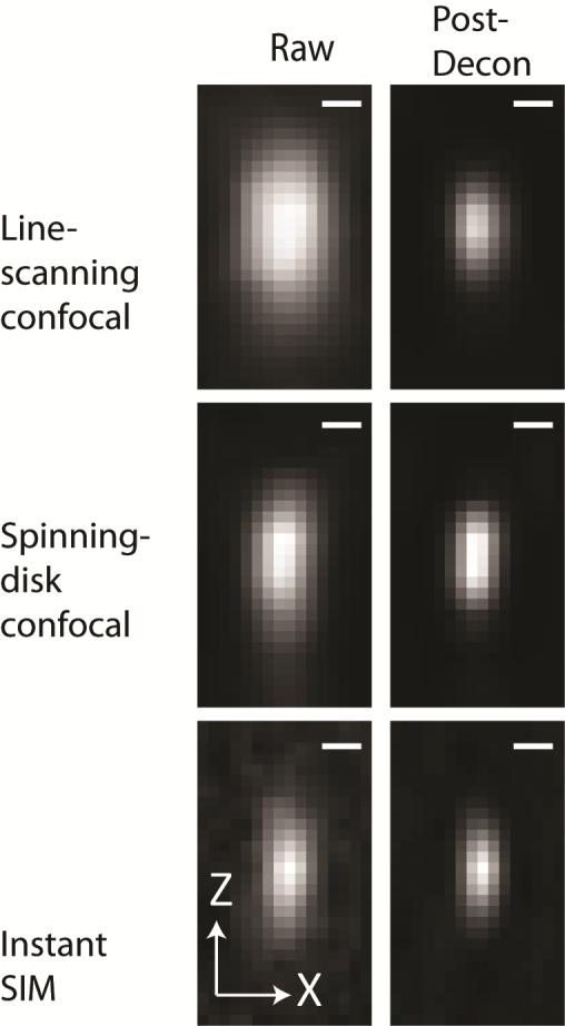 Supplementary Fig. 9, Apparent size of subdiffractive beads as viewed in line-scanning, spinning-disk confocal, and instant SIM systems.