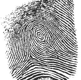 WHORL PATTERNS These fingerprint patterns have ridges