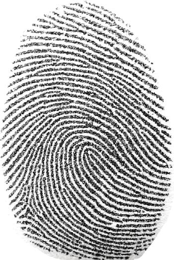 Questions Classifying Fingerprints NAME 1. What is the classification of the large RIGHT thumbprint below? 2.
