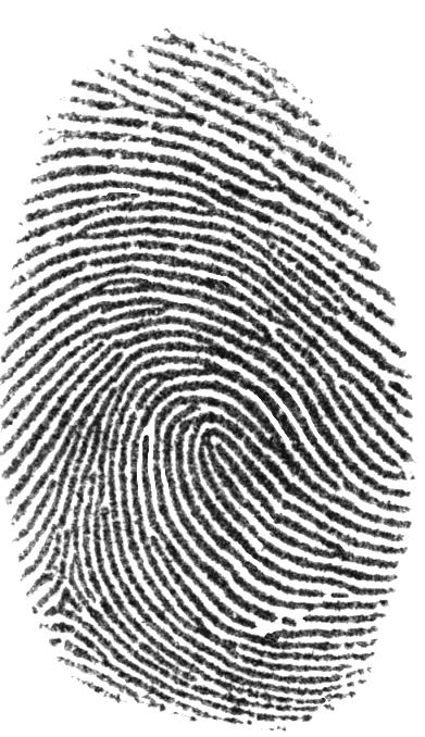 4. Why do humans have fingerprints?? (it is not to help with identification!) TO MAKE IT EASIER TO PICK UP OBJECTS 5. Get together with several other students and compare your fingerprints.