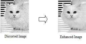 mind that enhancement is a very subjective area of image processing. Improvement in quality of these degraded images can be achieved by using application of enhancement Techniques.