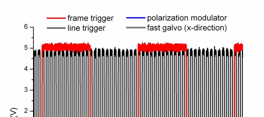 Fig. 1. Measurement setup for polarization-sensitive spectral-domain optical coherence tomography.