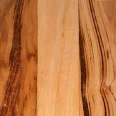 The sapwood of Tigerwood is a brownish white to dirty gray colour, while the heartwood is reddish brown to light golden brown. The species has a very unique wavy, interlocked, irregular grain.