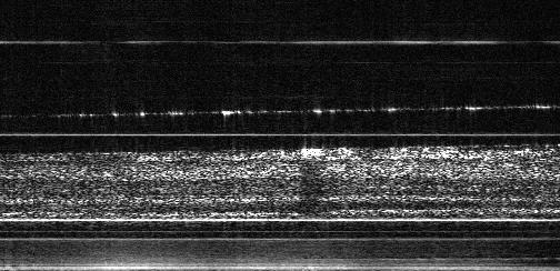 FFSSOCT Data Processing Internal reflection Cover slip Nerve fibre layer Choroid Figure 4-10: Ex vivo tree shrew retinal image showing pseudo-fixed pattern background noise.