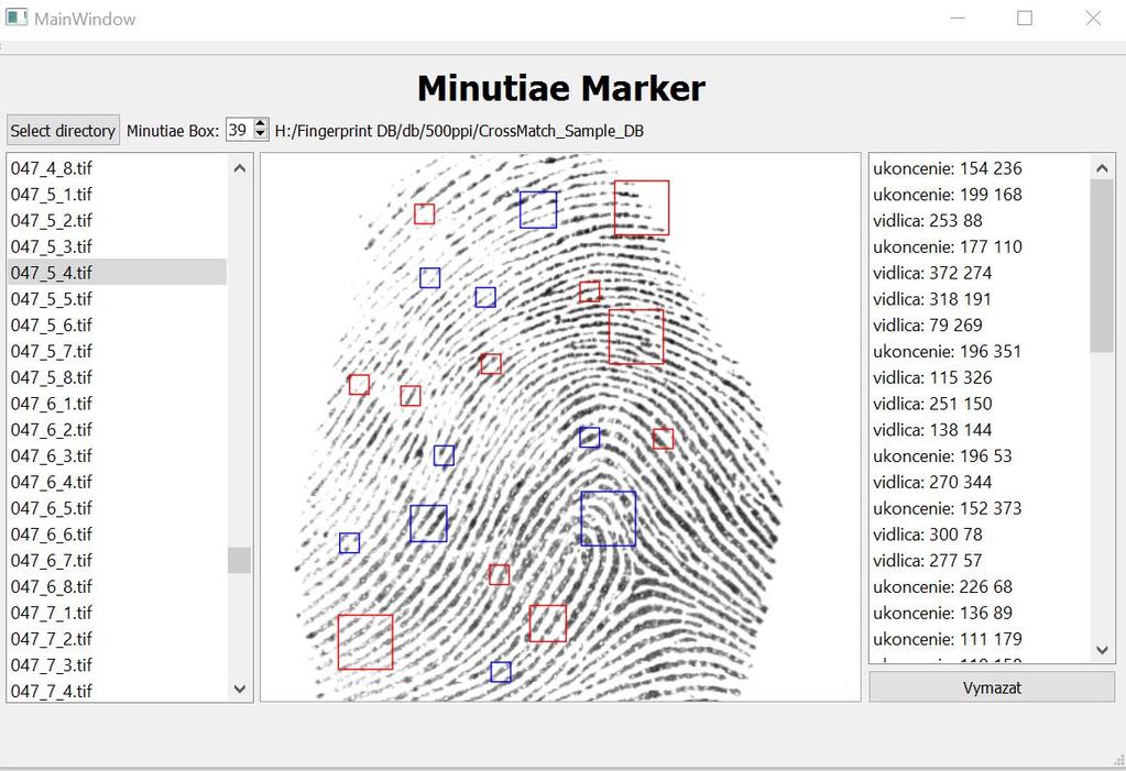 directly from real fingerprint pattern. Their automated marking and extraction from the image would be too difficult.
