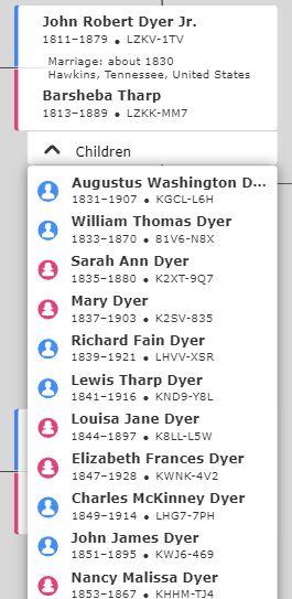 Dyer Family 11 total children by 1867 Lived in Hawkins, Tennessee Confederate Augustus Washington Dyer William Thomas Dyer (went mad) Lewis