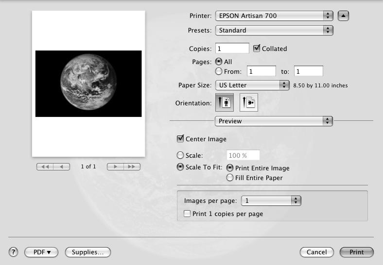 5. Select the basic page setup options. For borderless photos, choose a Paper Size setting with a Borderless option.