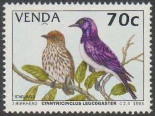 Most Attractive Bird Stamps (Top Ten) Monteiro s
