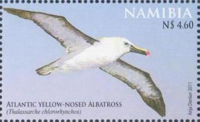 Albatross Namibia