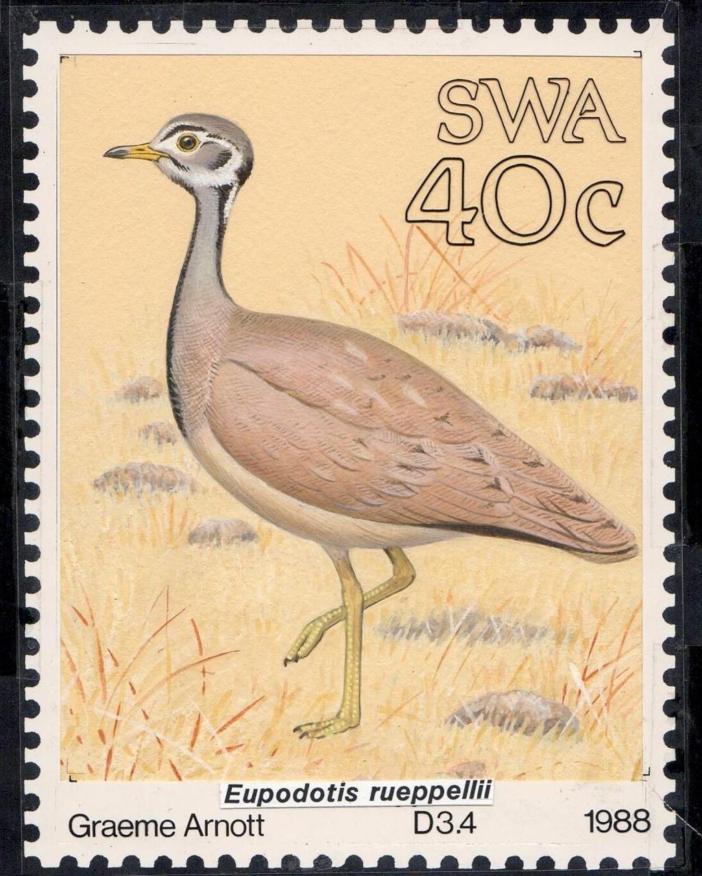 Ruppell s Bustard (47-15) by