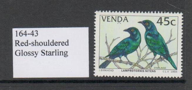 BOWERBIRDS, 172