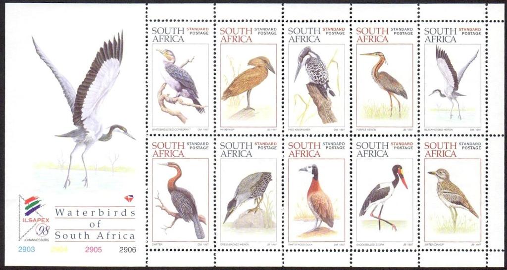 Kingfisher - Herons African Darter -