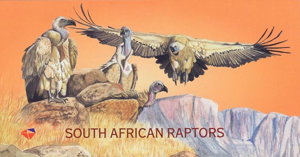 RSA August 1998 - Raptors booklet Every booklet