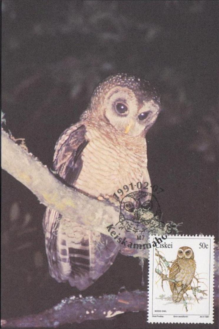 40c Barn Owl