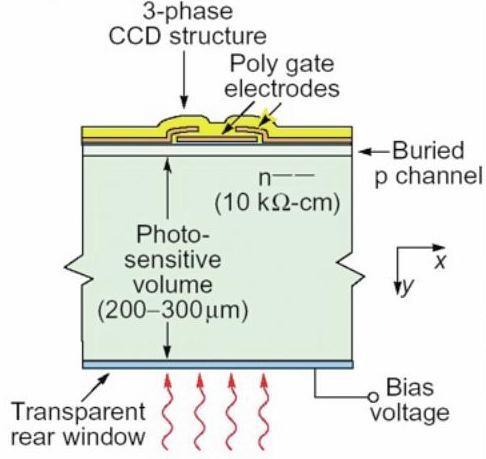 Charge Coupled Devices (CCD) Potential well Characteristics: Properly biased CCDs store charge in a potential well.