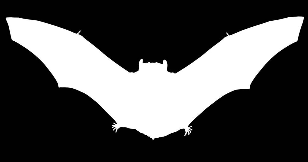 save Canadian bat species at risk.