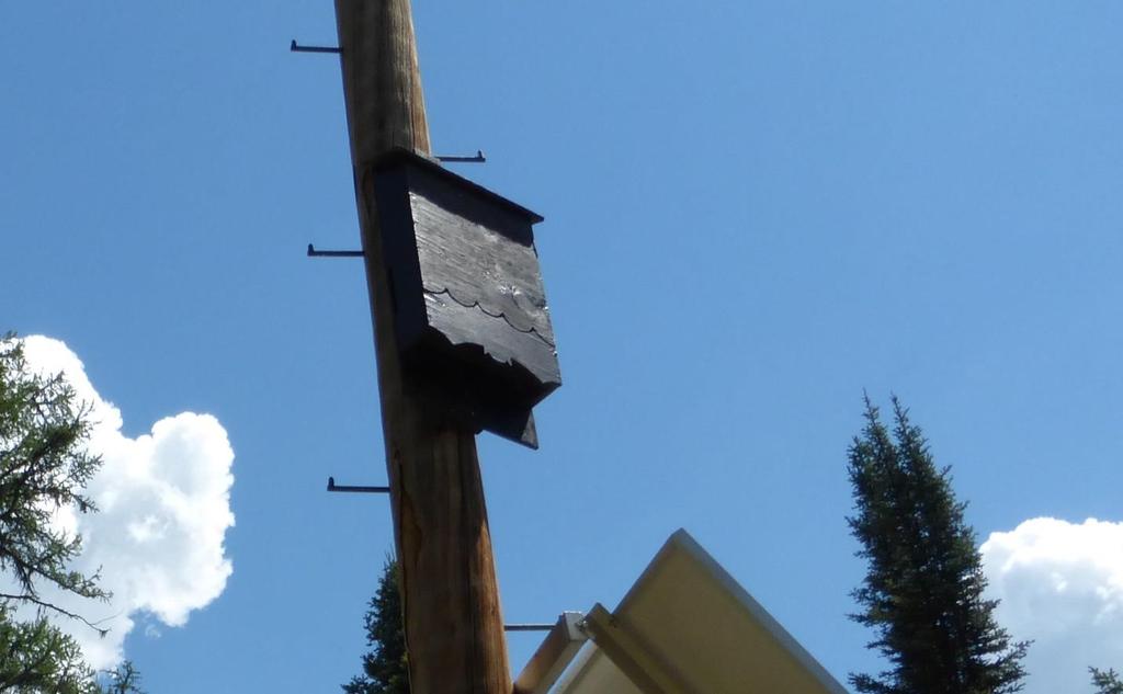 Figure 1: Bat house on a pole away from a building, which